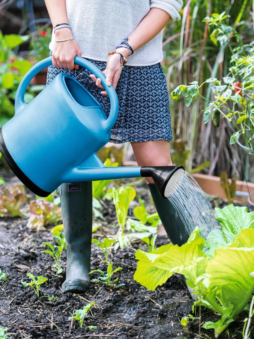 French Blue Watering Can 1 French Blue Watering Can