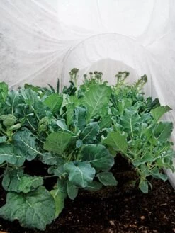 Summerweight Garden Fabric -The Bloom Yard Sales Shop 32644 7936 tif