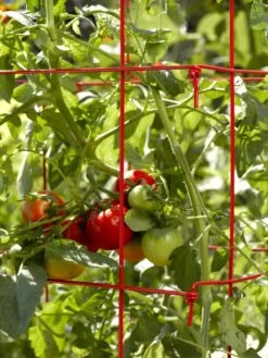 Tomato Cages, Set Of 4 -The Bloom Yard Sales Shop 34182 592