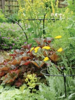 Essex Plant Supports -The Bloom Yard Sales Shop 37423 280 tif