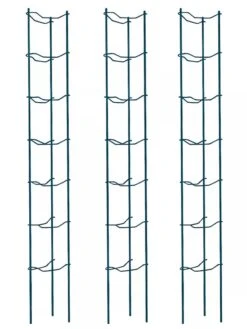 Tomato Ladders, Set Of 3 -The Bloom Yard Sales Shop 38184 002E psd