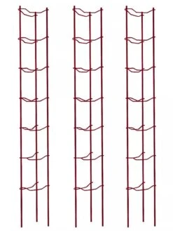 Tomato Ladders, Set Of 3 -The Bloom Yard Sales Shop 38185 002E psd