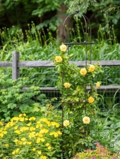 Jardin Round Obelisk, 7' -The Bloom Yard Sales Shop 39 530 1668 tif