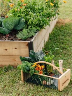 Garden Hods -The Bloom Yard Sales Shop 39 761 572 tif