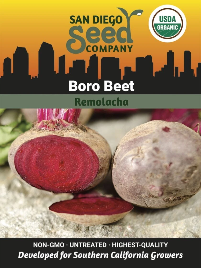 Beet, Boro Organic Seeds 1 Beet, Boro Organic Seeds