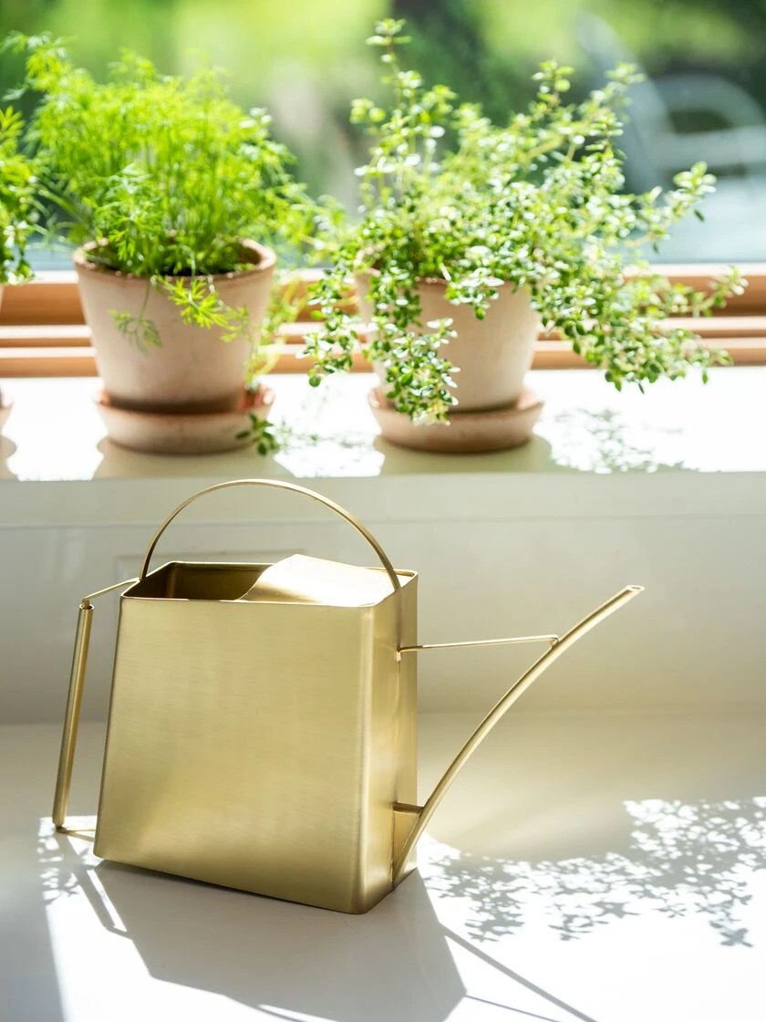 Precision Brass Watering Can 1 Precision Brass Watering Can