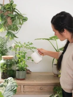 Pinpoint Indoor Watering Can 13 Pinpoint Indoor Watering Can -The Bloom Yard Sales Shop 3 4 crop 8612963 3774