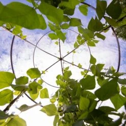 Jardin Tower 10 Jardin Tower -The Bloom Yard Sales Shop 3 4 crop 8612997 0033