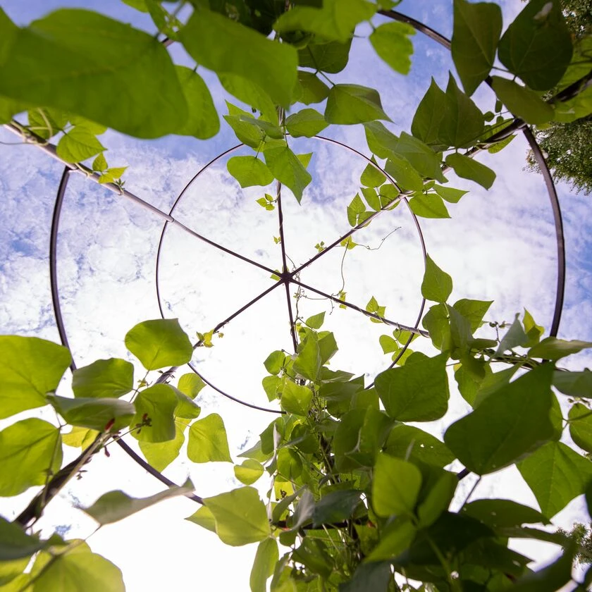 Jardin Tower 5 Jardin Tower - Image 5