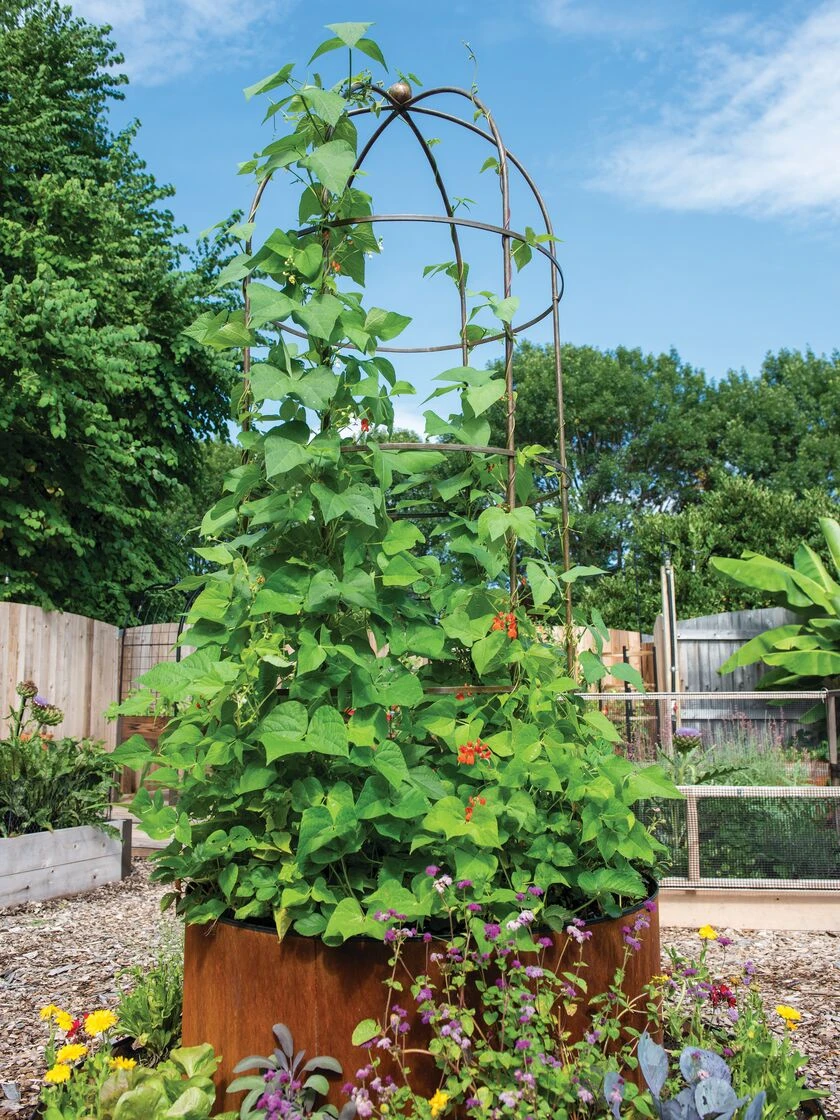 Jardin Tower 2 Jardin Tower - Image 2