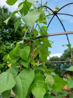 Jardin Tower 8 Jardin Tower -The Bloom Yard Sales Shop 3 4 crop 8612997 0058