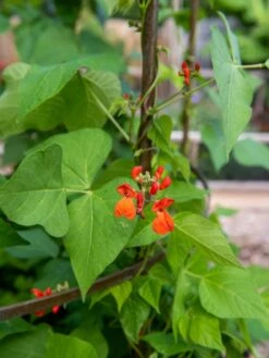 Jardin Tower 9 Jardin Tower -The Bloom Yard Sales Shop 3 4 crop 8612997 0059