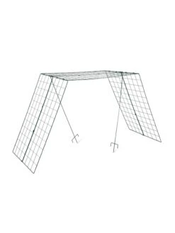 Over The Top Cucumber And Squash Trellis -The Bloom Yard Sales Shop 3 4 crop 8613058 4890