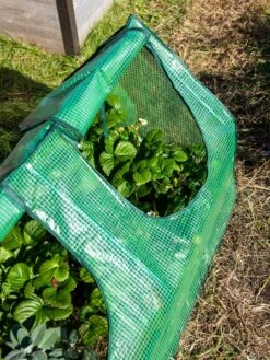 Multi Cloche -The Bloom Yard Sales Shop 3 4 crop 8613213 0240