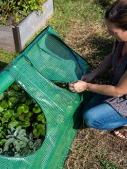 Multi Cloche -The Bloom Yard Sales Shop 3 4 crop 8613213 0245