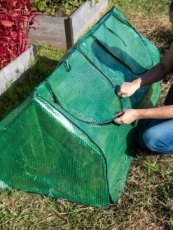 Multi Cloche -The Bloom Yard Sales Shop 3 4 crop 8613213 0250