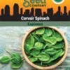Corvair Spinach Organic Seeds