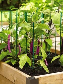 Pepper And Eggplant Stakes, Set Of 3 -The Bloom Yard Sales Shop 40308 2116 tif