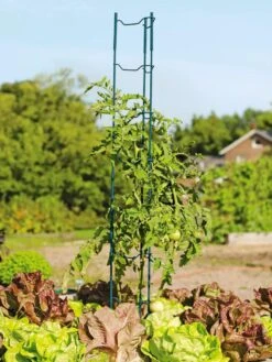 Stacking Tomato Ladders, Set Of 6 7 Stacking Tomato Ladders, Set Of 6 -The Bloom Yard Sales Shop 40309 100 tif