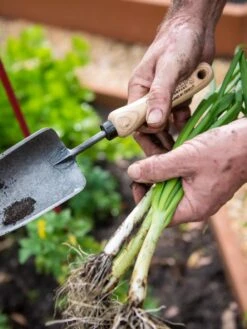 Gardener's Lifetime Trowel -The Bloom Yard Sales Shop 8586972 3286 tif