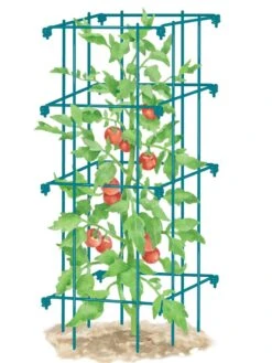 Tomato Cage, Single -The Bloom Yard Sales Shop 8587039 TomatoCage BLUE tif