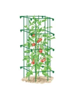 Tomato Cage, Single -The Bloom Yard Sales Shop 8587039 TomatoCage GRN tif