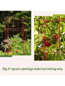 Tomato Cages, Set Of 4 -The Bloom Yard Sales Shop 8587040 2