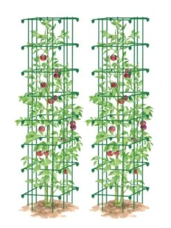 Tomato Towers, Set Of 2 -The Bloom Yard Sales Shop 8587041 0006 GRN tif