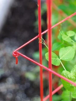 Tall Expandable Pea Trellis 7 Tall Expandable Pea Trellis -The Bloom Yard Sales Shop 8587061 010 tif