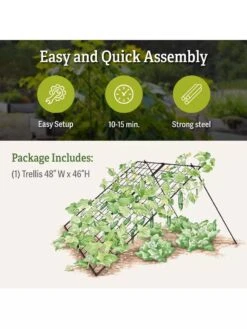 Large Cucumber Trellis -The Bloom Yard Sales Shop 8587082 product details