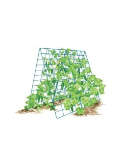 Deluxe Cucumber Trellis 15 Deluxe Cucumber Trellis -The Bloom Yard Sales Shop 8587083 001 BLUE Cukes two sided deluxe cucumber trellis support storm blue 3 4