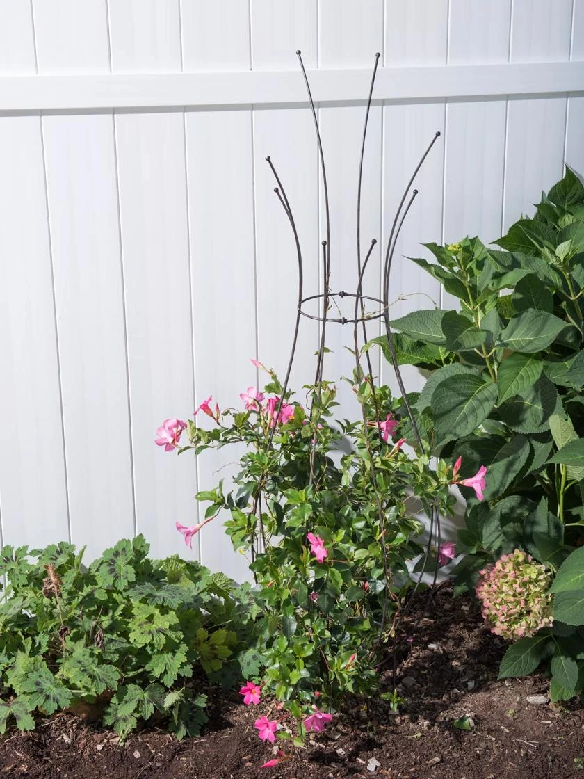 Jardin Pot Trellis 2 Jardin Pot Trellis - Image 2