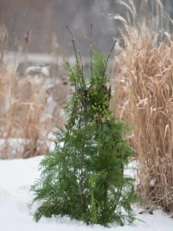 Jardin Pot Trellis 9 Jardin Pot Trellis -The Bloom Yard Sales Shop 8587120 009 tif