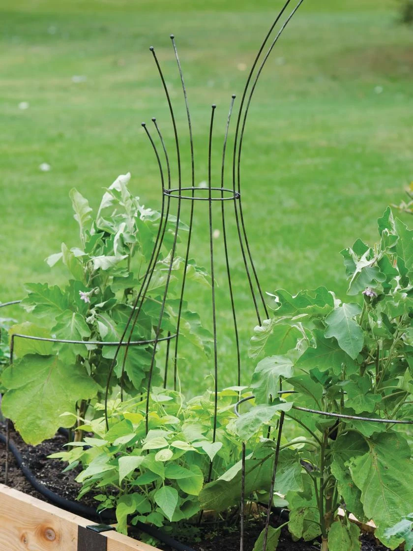 Jardin Pot Trellis 3 Jardin Pot Trellis - Image 3