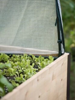 Protection Frame & Covers, 2' X 4' -The Bloom Yard Sales Shop 8587631 265 tif 1