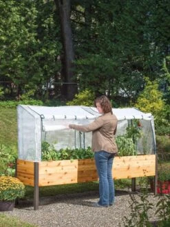 The Bloom Yard Sales Shop -The Bloom Yard Sales Shop 8587631 304 tif