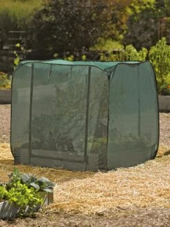 Pest Control Pop-Ups -The Bloom Yard Sales Shop 8587859 026 tif