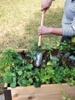 Gardener's Lifetime Raised Bed Trowel -The Bloom Yard Sales Shop 8588014 4084 tif