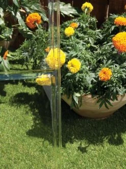 Canopia® By Palram Harmony™ Greenhouse, 6' -The Bloom Yard Sales Shop 8588022 005V tif