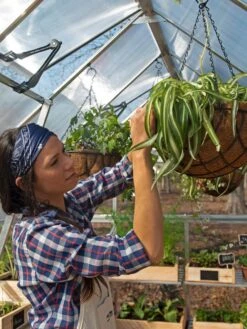 Canopia® By Palram Balance Greenhouse, 8' X 12' -The Bloom Yard Sales Shop 8588023 07V jpg