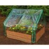 Extendable Cold Frame Greenhouse