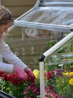 Canopia® By Palram Plant Inn™ Raised Bed Greenhouse, 4' X 4' -The Bloom Yard Sales Shop 8588308 04V tif