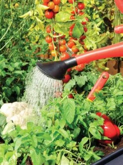 Canopia® By Palram Plant Inn™ Raised Bed Greenhouse, 4' X 4' -The Bloom Yard Sales Shop 8588308 06V tif