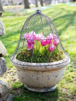 Chicken Wire Cloche -The Bloom Yard Sales Shop 8590210 021 tif