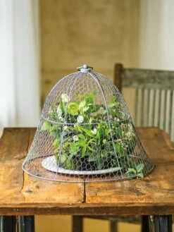 Chicken Wire Cloche -The Bloom Yard Sales Shop 8590210 1 tif