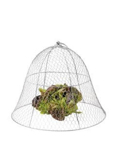 Chicken Wire Cloche -The Bloom Yard Sales Shop 8590210 675 tif