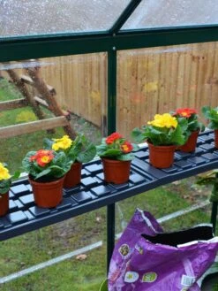 Canopia® By Palram Shelf Kit For Greenhouses, Set Of 2 Shelves 12 Canopia® By Palram Shelf Kit For Greenhouses, Set Of 2 Shelves -The Bloom Yard Sales Shop 8591033 09V jpg