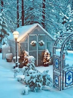 Canopia® By Palram Harmony™ Snap & Grow Greenhouse, 8' 35 Canopia® By Palram Harmony™ Snap & Grow Greenhouse, 8' -The Bloom Yard Sales Shop 8591048 06V jpg