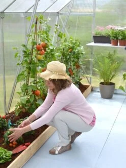 Canopia® By Palram Essence™ Greenhouse, 8' X 12' -The Bloom Yard Sales Shop 8591356 04V tif