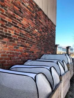 Row Shelter Accelerator -The Bloom Yard Sales Shop 8591990 01IN tif